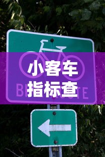 小客车指标查询官网—(小客车指标查询官网北京) 小客车指标查询官网—(小客车指标查询官网北京)