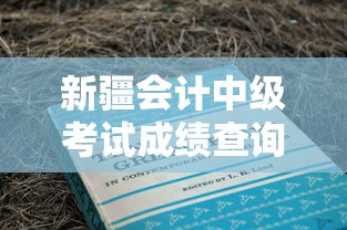 新疆会计中级考试成绩查询›新疆会计中级考试时间