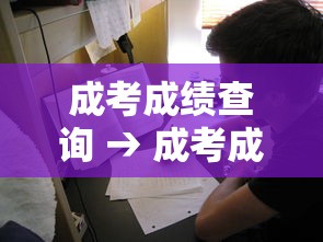 成考成绩查询 → 成考成绩查询入口 成考成绩查询 → 成考成绩查询入口