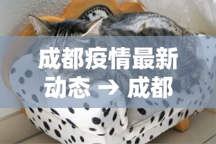 成都疫情最新动态 → 成都疫情从疫情开始管控到封城到解 成都疫情最新动态 → 成都疫情从疫情开始管控到封城到解