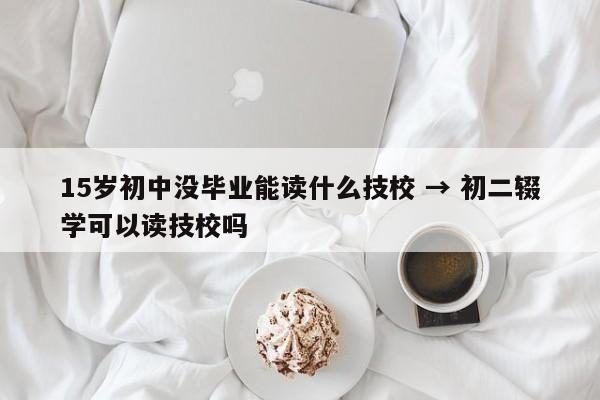 15岁初中没毕业能读什么技校 → 初二辍学可以读技校吗