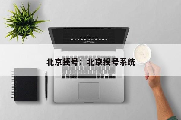 北京摇号:北京摇号系统