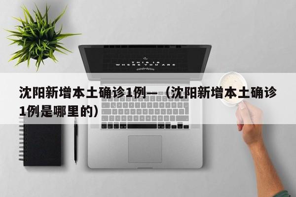 沈阳新增本土确诊1例—（沈阳新增本土确诊1例是哪里的）