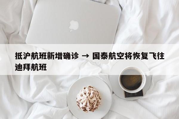 抵沪航班新增确诊 → 国泰航空将恢复飞往迪拜航班