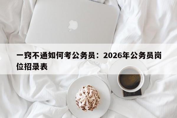 一窍不通如何考公务员:2026年公务员岗位招录表