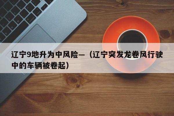辽宁9地升为中风险—(辽宁突发龙卷风行驶中的车辆被卷起)