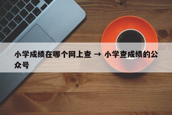 小学成绩在哪个网上查 → 小学查成绩的公众号